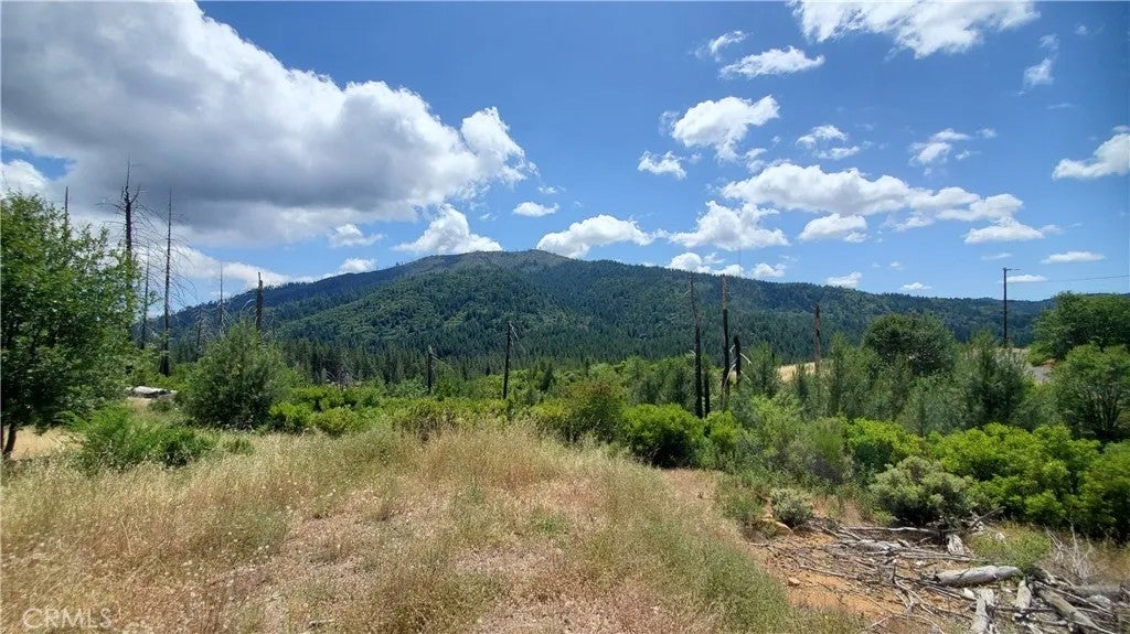 Photo of 15353 Shasta RD, Cobb, CA 95426 (MLS # LC26128179)
