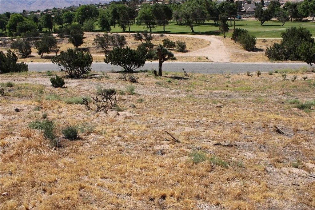 Photo of 0 Buckthorn, Hesperia, CA 92345 (MLS # HD26097167)
