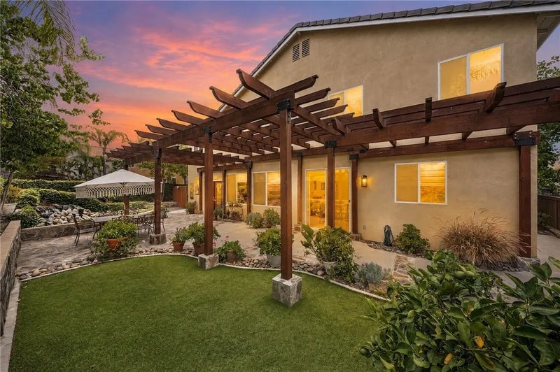 26352 Palm Tree