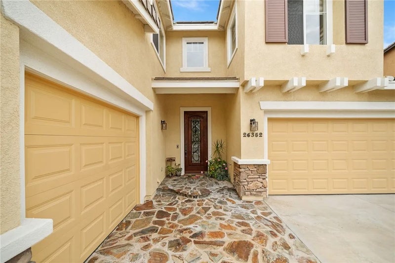 26352 Palm Tree