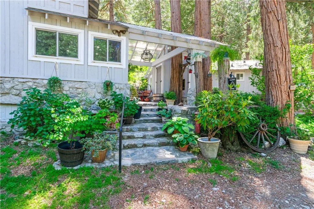 9091 Mountain View Drive
