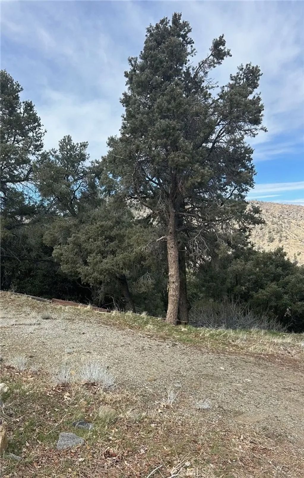 Photo of 0 Orchard, Wrightwood, CA 92397 (MLS # HD26045010)