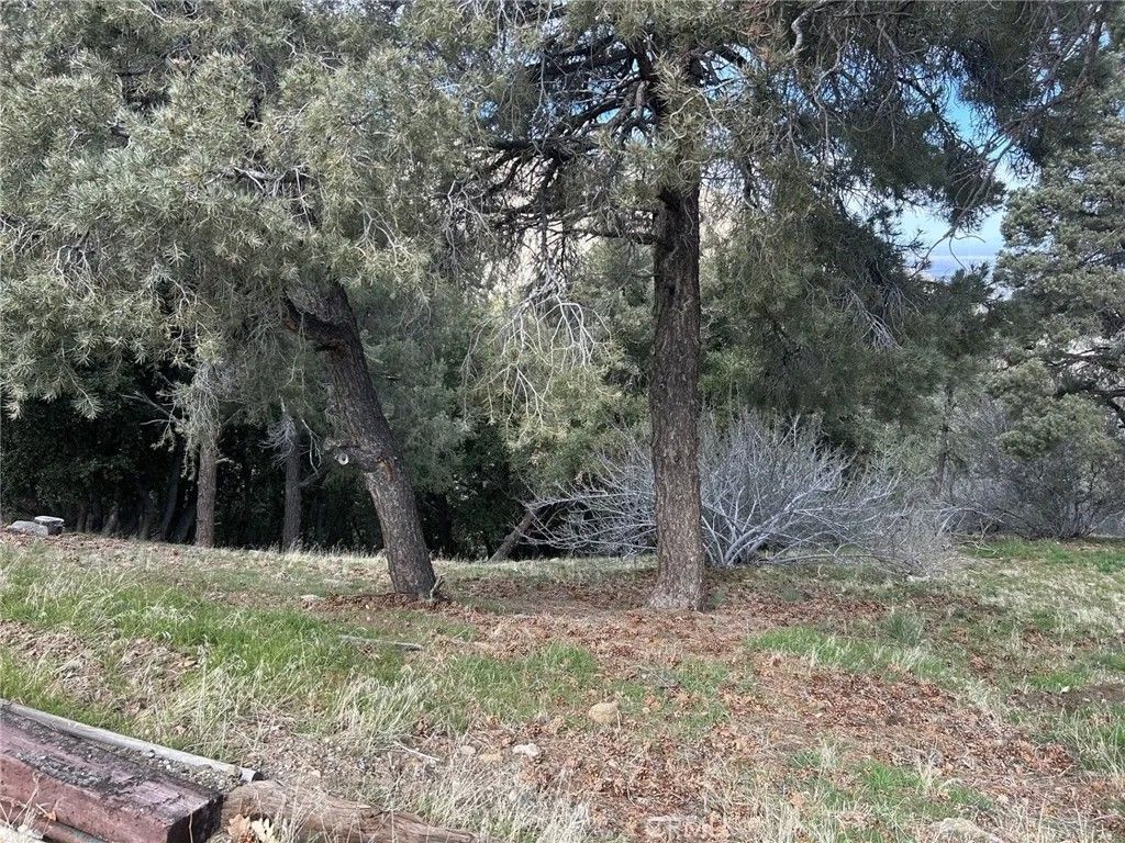 Photo of 0 Orchard, Wrightwood, CA 92397 (MLS # HD26045010)