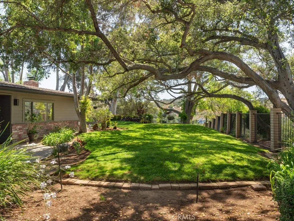 2923 Canonita Drive