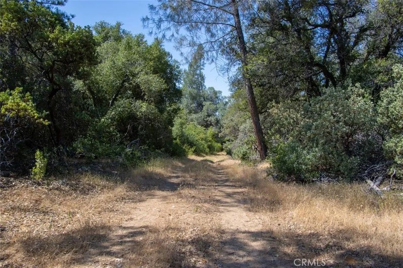 47850 Road 620