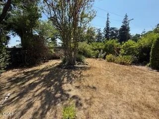 591 Alameda