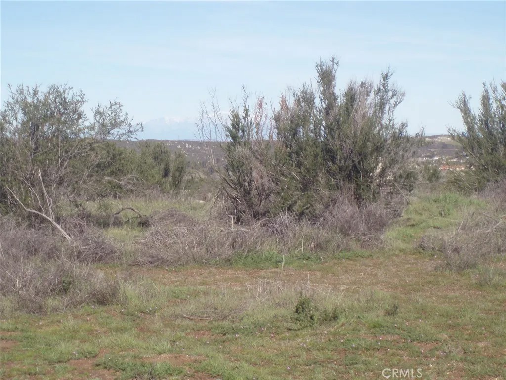 0 Willow Canyon