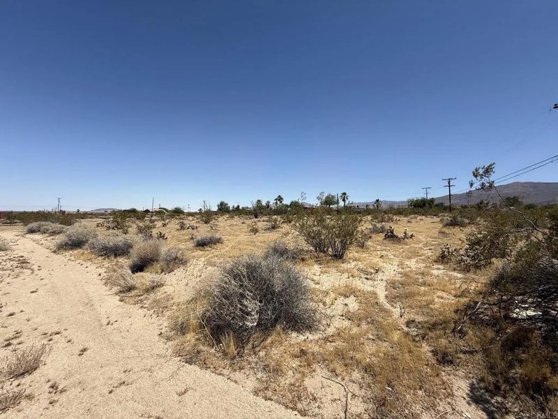 0 El Tejon