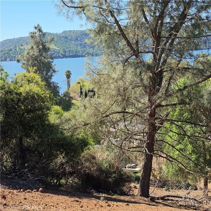 13477 Arrowhead