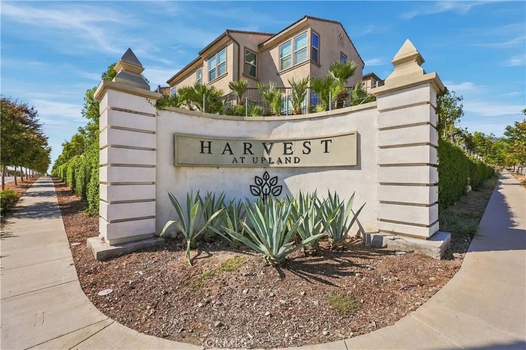 881 Pear Court