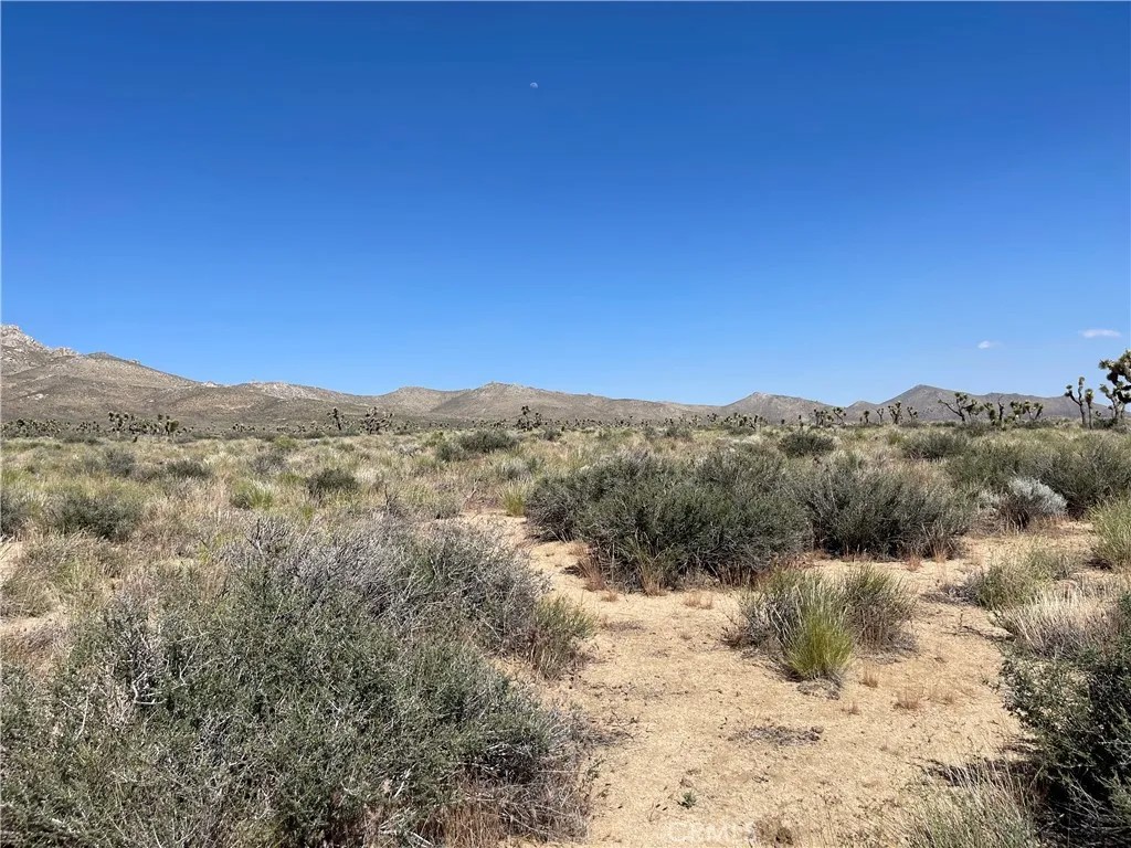 15310023 Kelso Valley