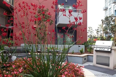Tiny photo for 1240 India St #519, San Diego, CA 92101 (MLS # 250031351)