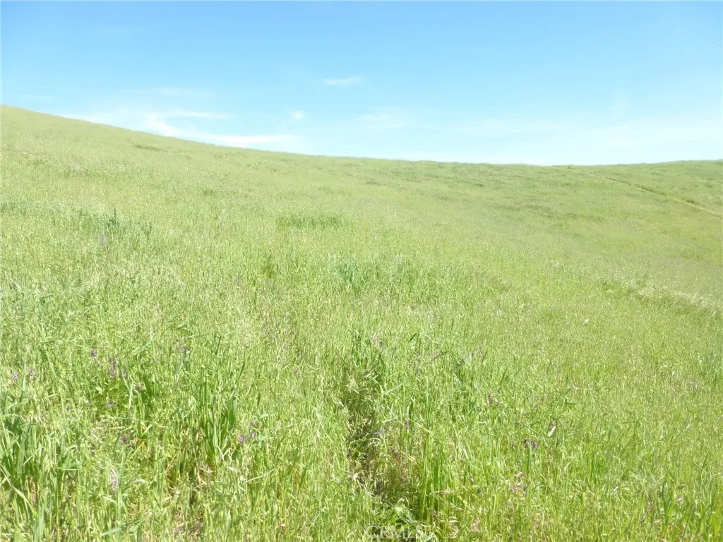0 Douglas Rd. (Lot 41)