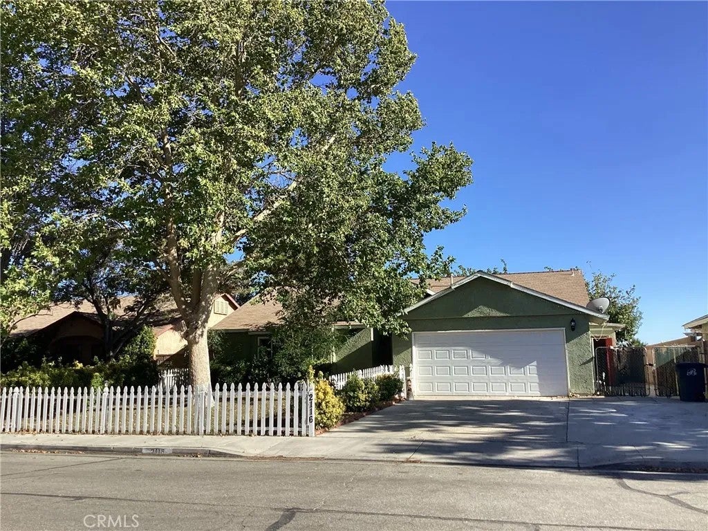 2116 Phlox