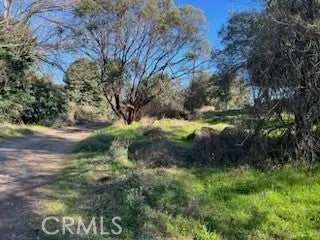 14212 Woodland