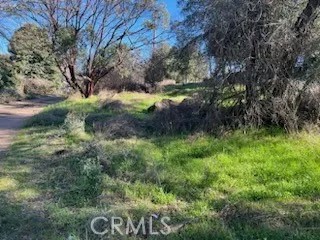 14212 Woodland