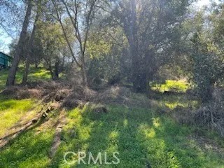 14212 Woodland