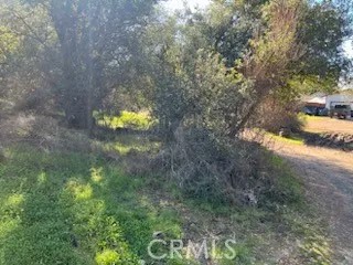 14212 Woodland