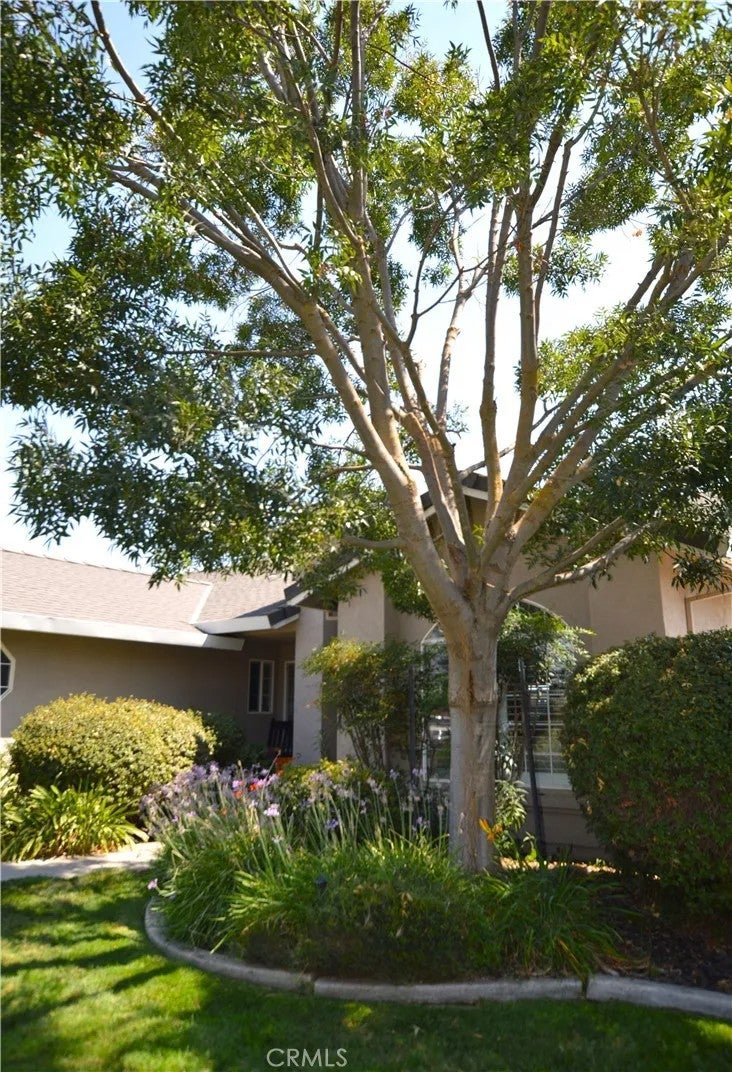 384 E Manzanita Drive