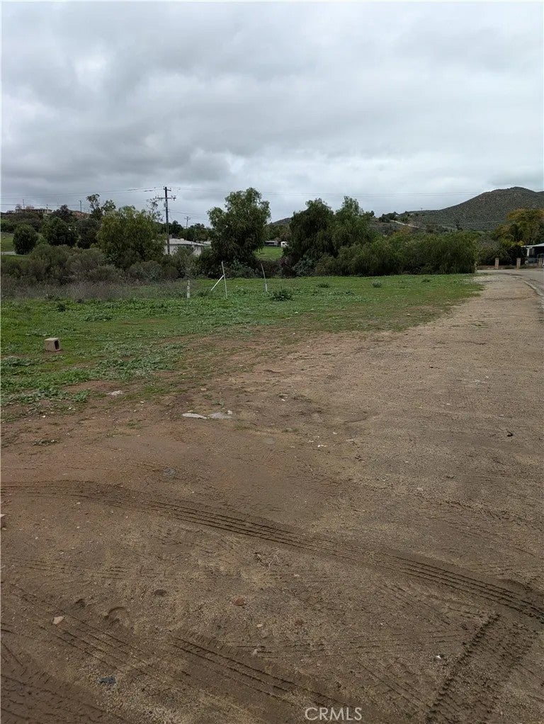 1 Gaviota