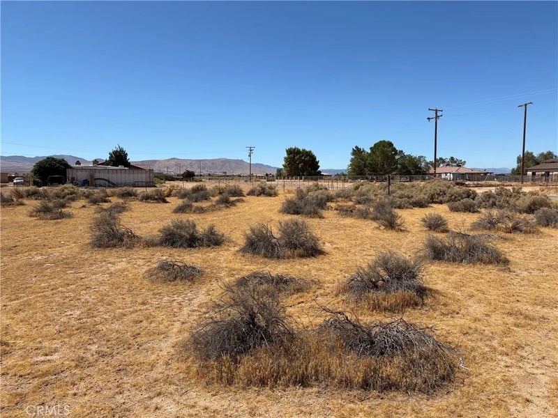 0 Joshua