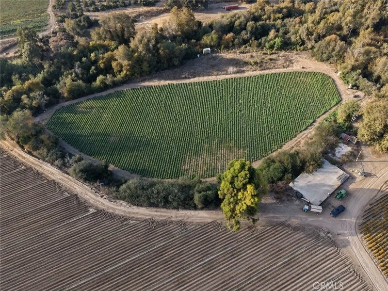 1491 Branch Mill