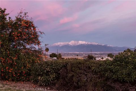 Tiny photo for 24479 Lawton Ave, Loma Linda, CA 92354 (MLS # IG25251269)