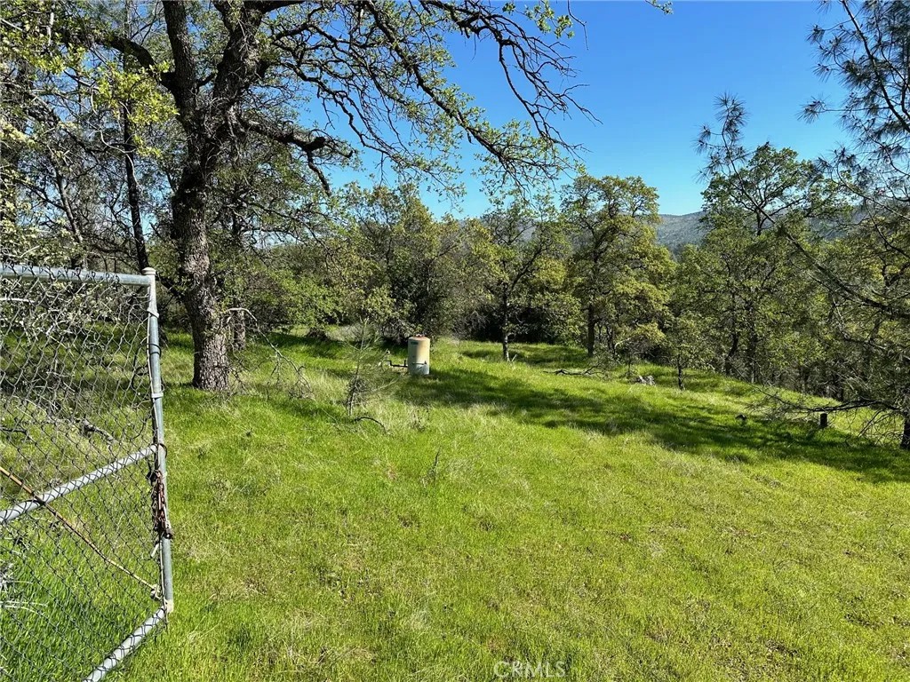 169 Shady Oak