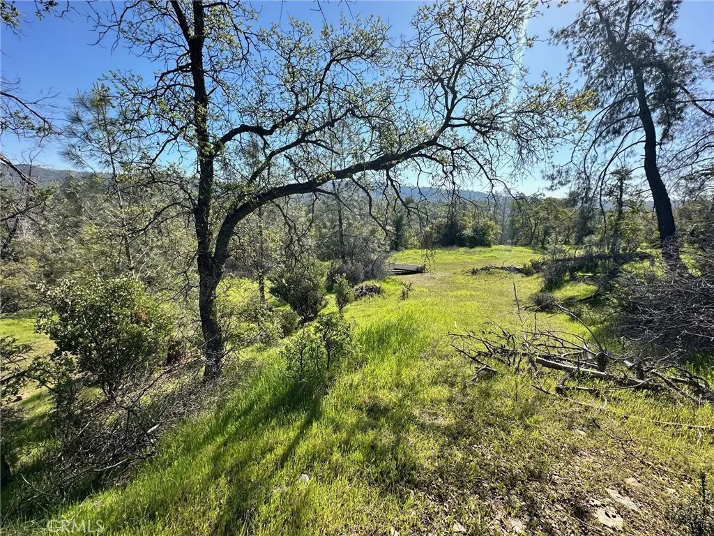 169 Shady Oak