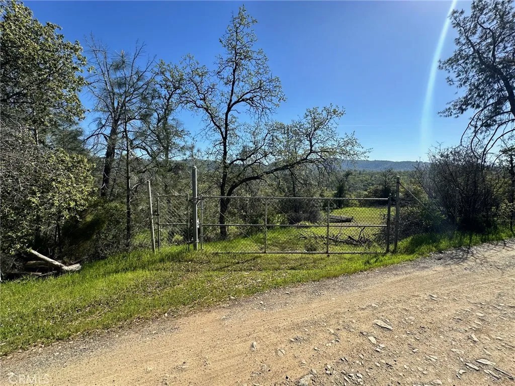 169 Shady Oak