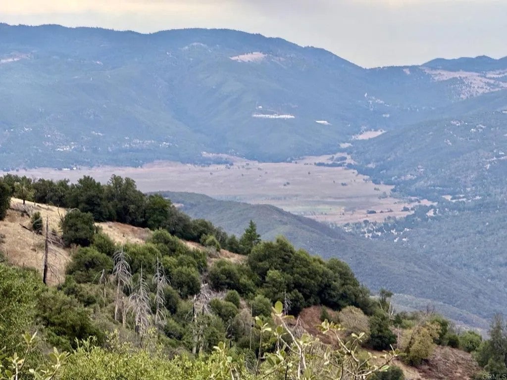 Photo of 29 Acres East Grade, Palomar Mountain, CA 92060 (MLS # NDP2609433)