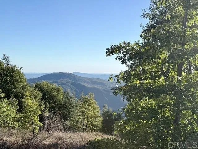 29 Acres East Grade