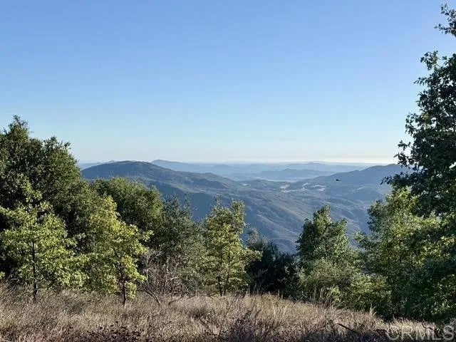 29 Acres East Grade