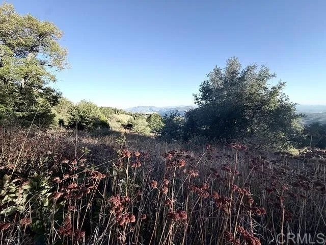 Photo of 29 Acres East Grade, Palomar Mountain, CA 92060 (MLS # NDP2609433)