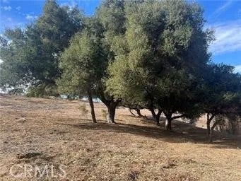 42800 Calle Capistrano