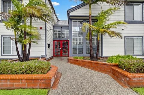 3950 Cleveland Avenue 215 San Diego CA 92103