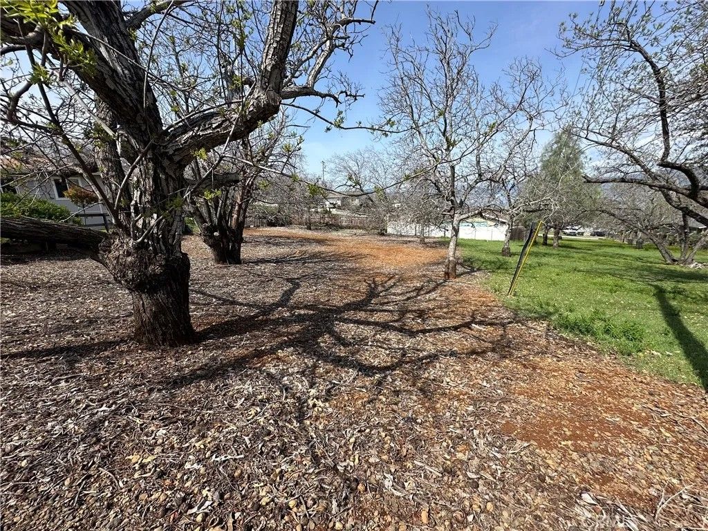 Photo of 3165 Marina View, Kelseyville, CA 95451 (MLS # LC25282188)