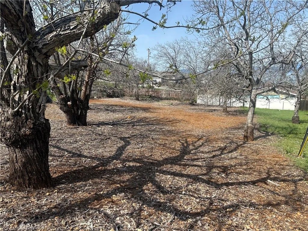 Photo of 3165 Marina View, Kelseyville, CA 95451 (MLS # LC25282188)