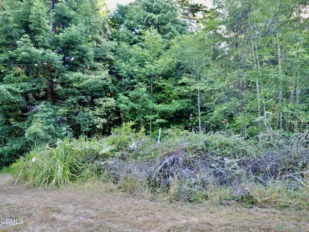 Photo of 19130 Dorffi Rd, Fort Bragg, CA 95437 (MLS # C1-11449)