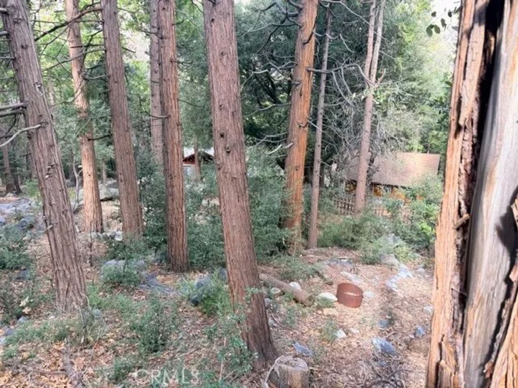 Photo of 40904 Spruce Dr, Forest Falls, CA 92339 (MLS # IG26012496)