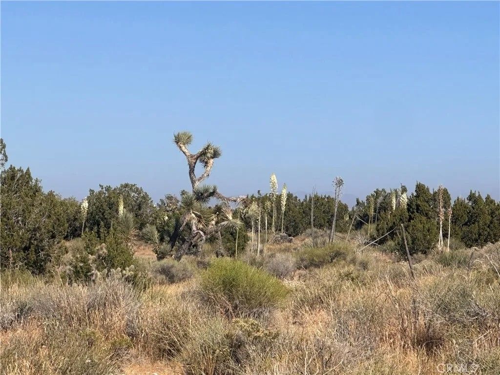 Photo of 0 Coyote / Pionero, Pinon Hills, CA 92372 (MLS # CV26107413)