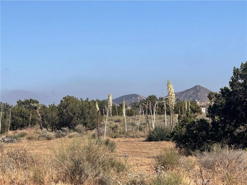 Photo of 0 Coyote / Pionero, Pinon Hills, CA 92372 (MLS # CV26107413)
