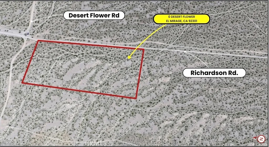 0 Desert Flower