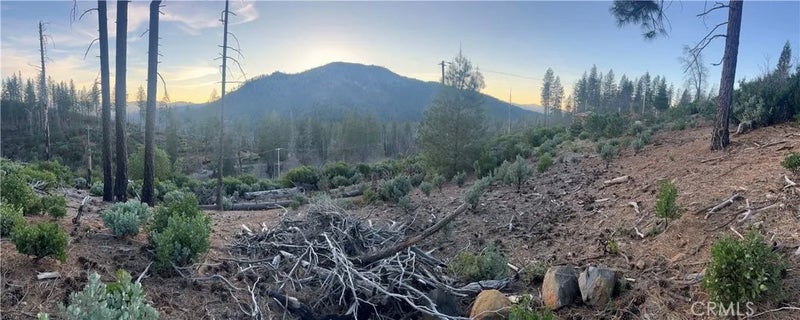 16790 Starview Loop Rd
