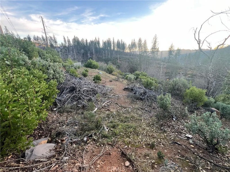 16790 Starview Loop Rd