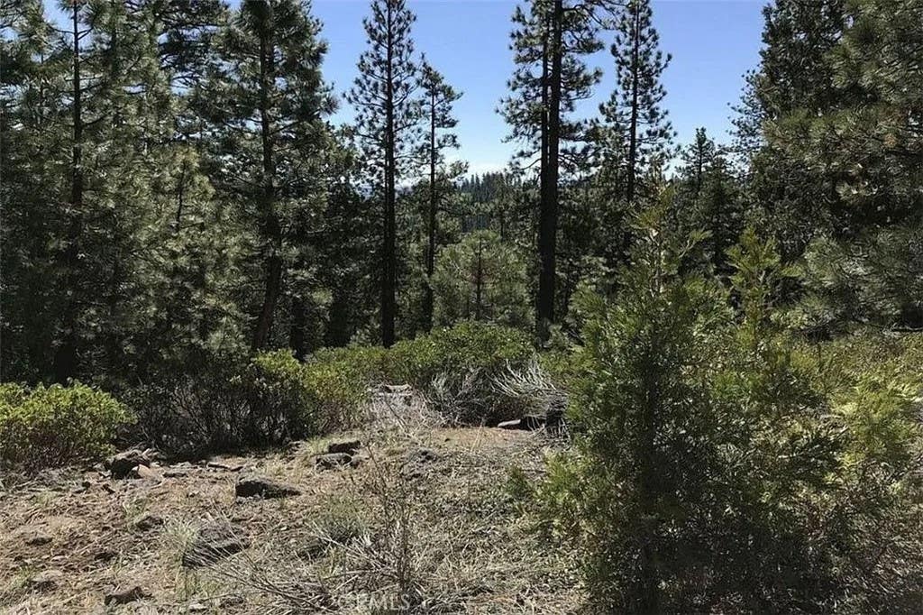 Photo of 0 Falcon Road, California Pines, CA 96101 (MLS # ND26123862)