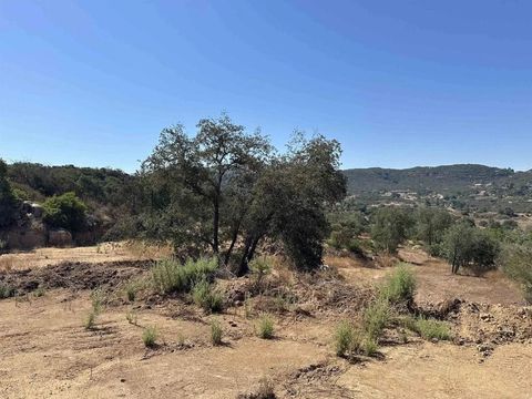 Photo of 16223 Lawson Valley, Jamul, CA 91935 (MLS # PTP2602343)