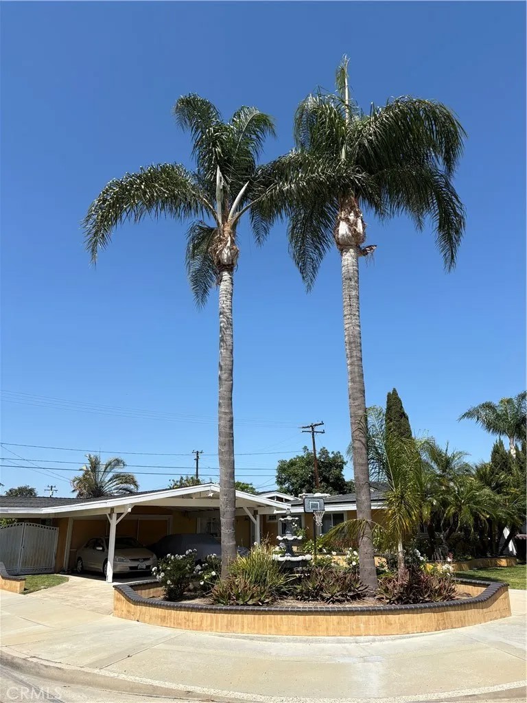 2113 W Niobe