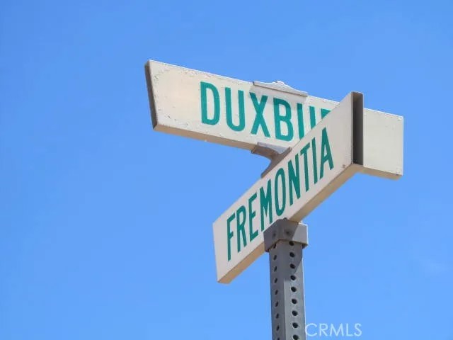 28 Fremontia