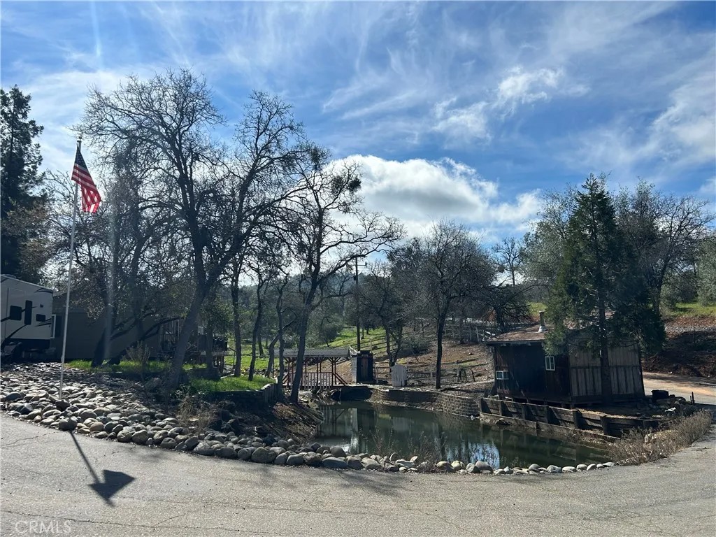 4456 Mount Bullion Cut Off